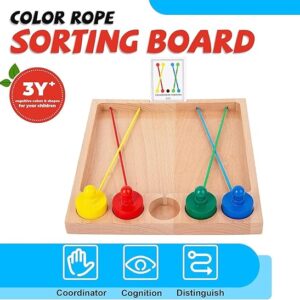 ToyGenie Colour Rope Sorting Mind Game