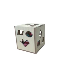 ToyGenie Wooden Shape Sorting Cube