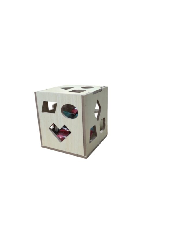 Wooden Shape Sorting Cube for kids